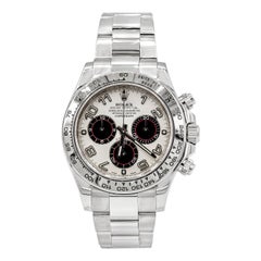 Rolex Daytona Ref 116509 Panda Dial White Gold Chronograph Wristwatch