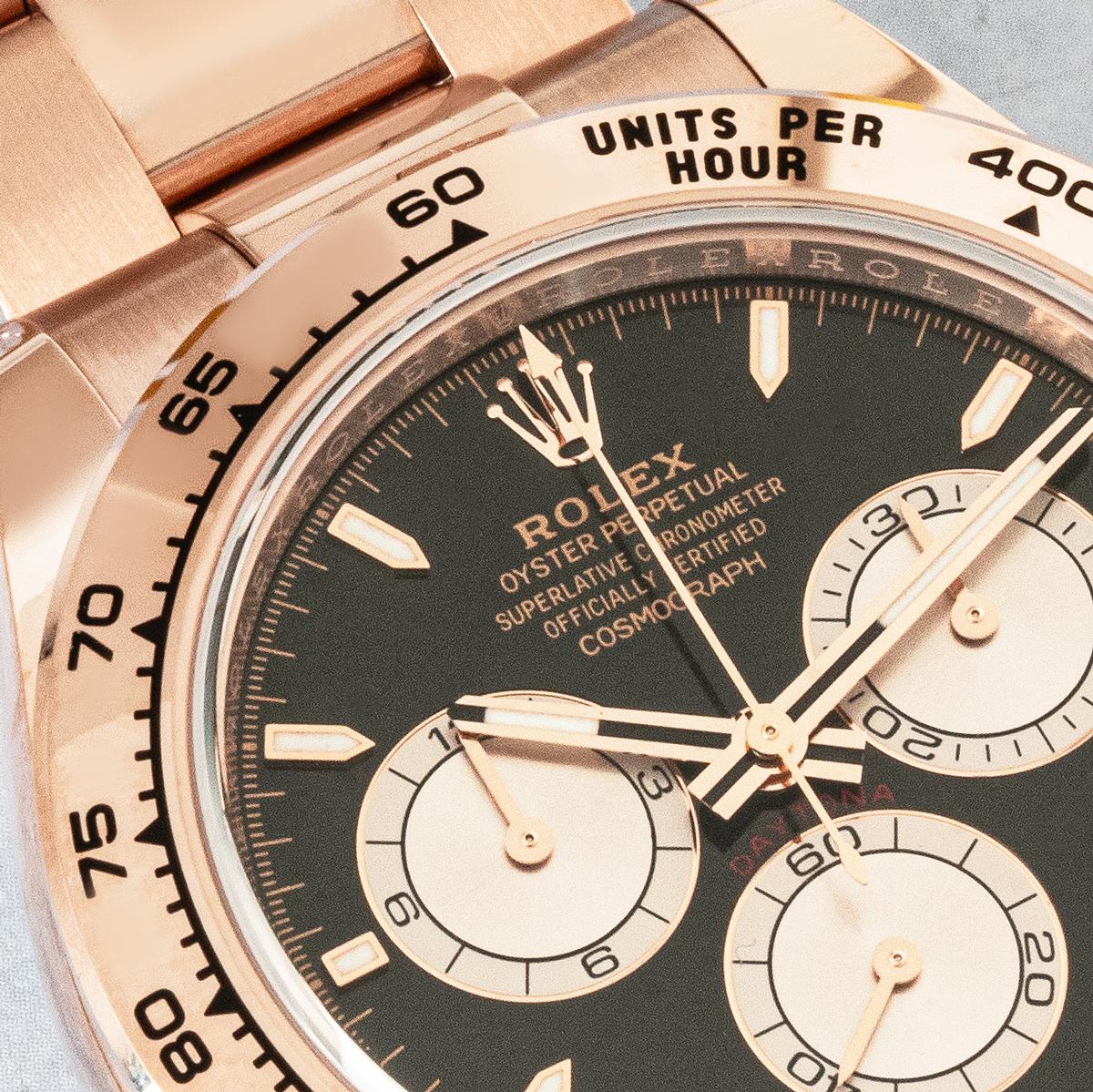 Rolex Daytona Rose Gold Bright Black Dial Unworn 126505 en vente 4