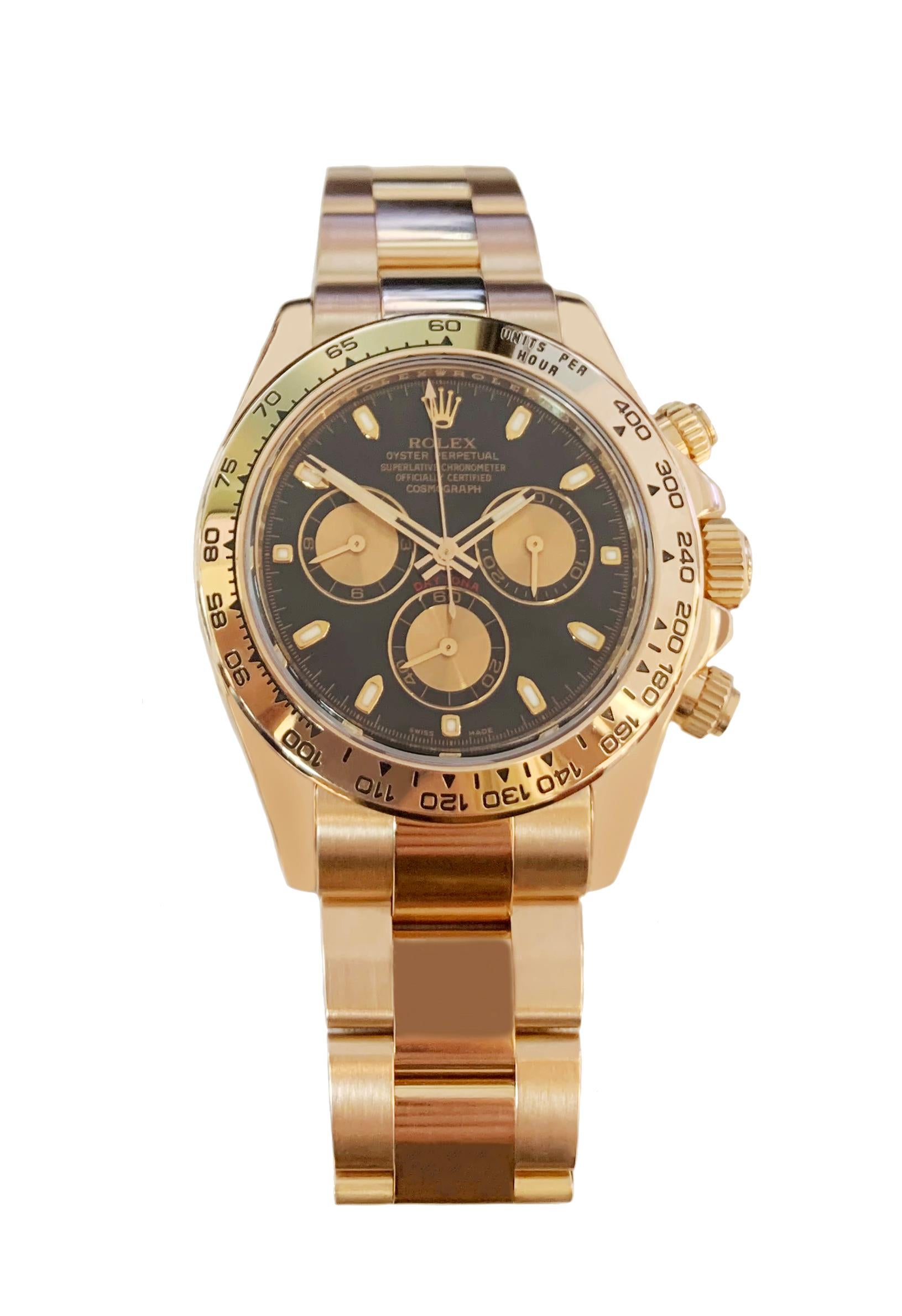 daytona or rose fond chocolat