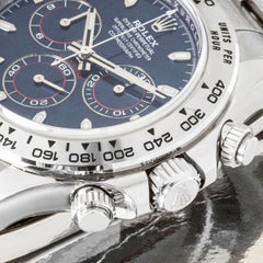 Rolex Daytona White Gold Blue Dial 116509