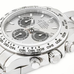 Rolex Daytona White Gold Ghost Grey Dial Box & Papers 116509