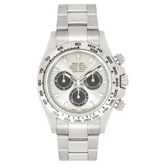 Rolex Daytona White Gold Ghost Grey Dial Box & Papers 116509