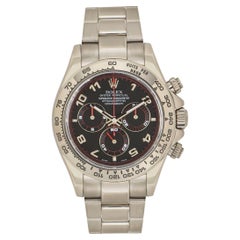 Rolex Daytona White Gold Racing Dial 116509
