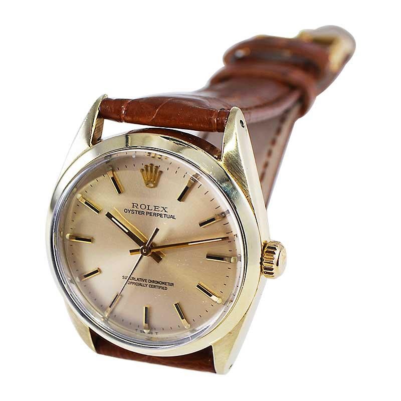 Rolex Gold Shell Oyster Perpetual with Original Dial from Mid 1980's For Sale 1