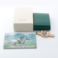 Rolex Ladies Extremely Rare Gold Tiger Eye Dial Bark President Watch 6927