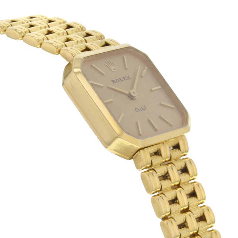 sava petrovic rolex