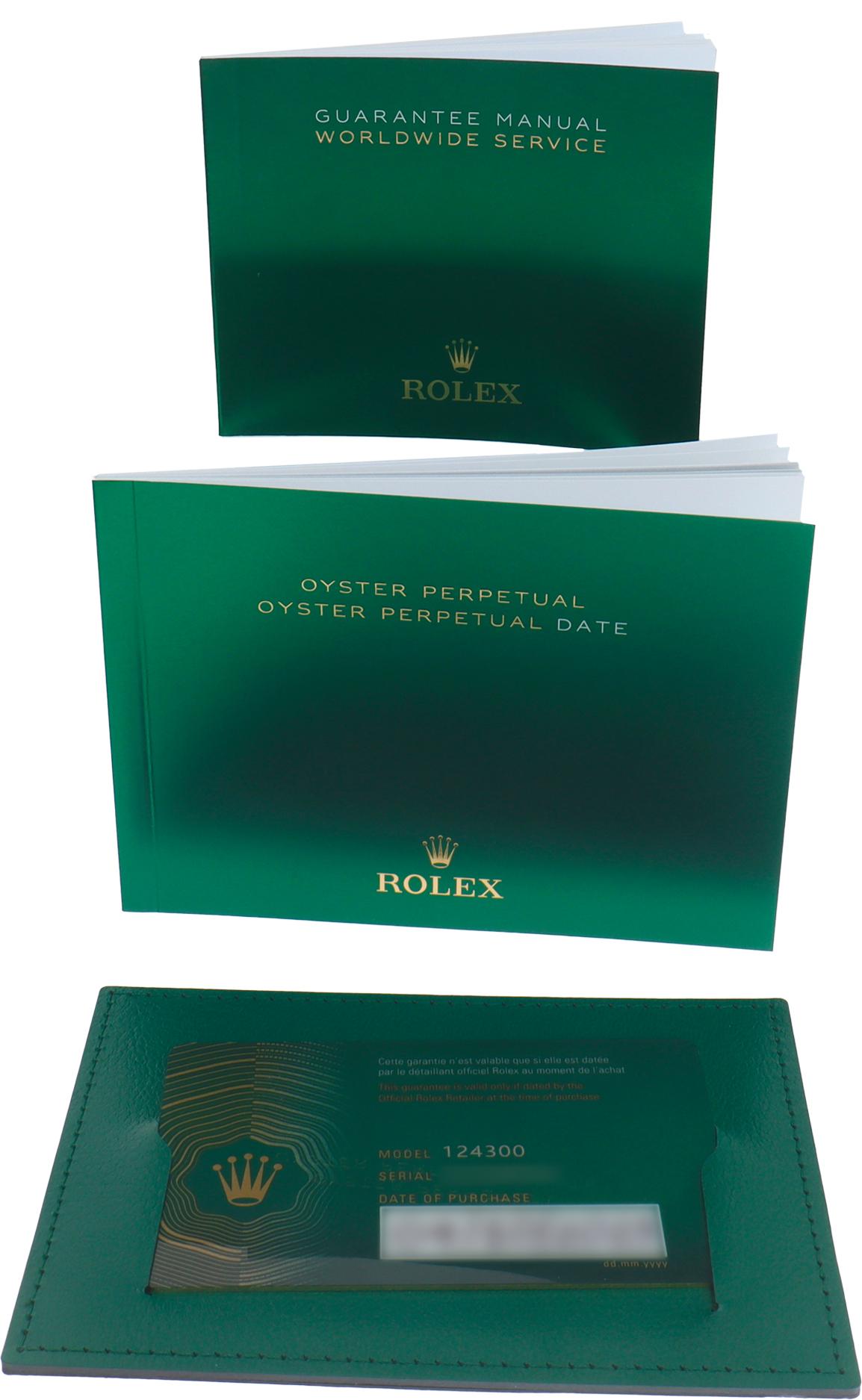 Rolex Oyster Perpetual 41mm 124300 1