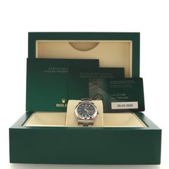 Rolex Oyster Perpetual Automatic Watch Stainless Steel 31