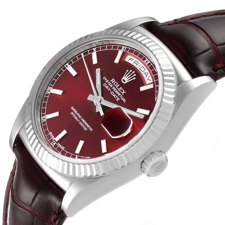 rolex burgundy dial