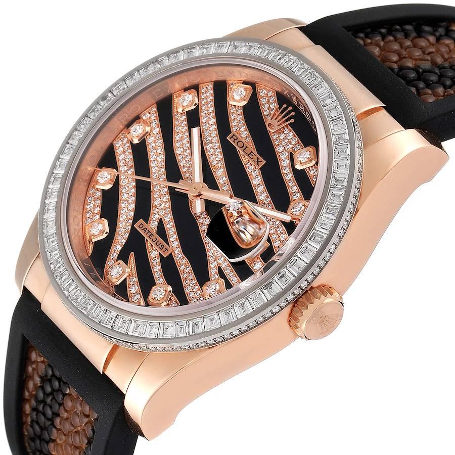 rolex zebra watch