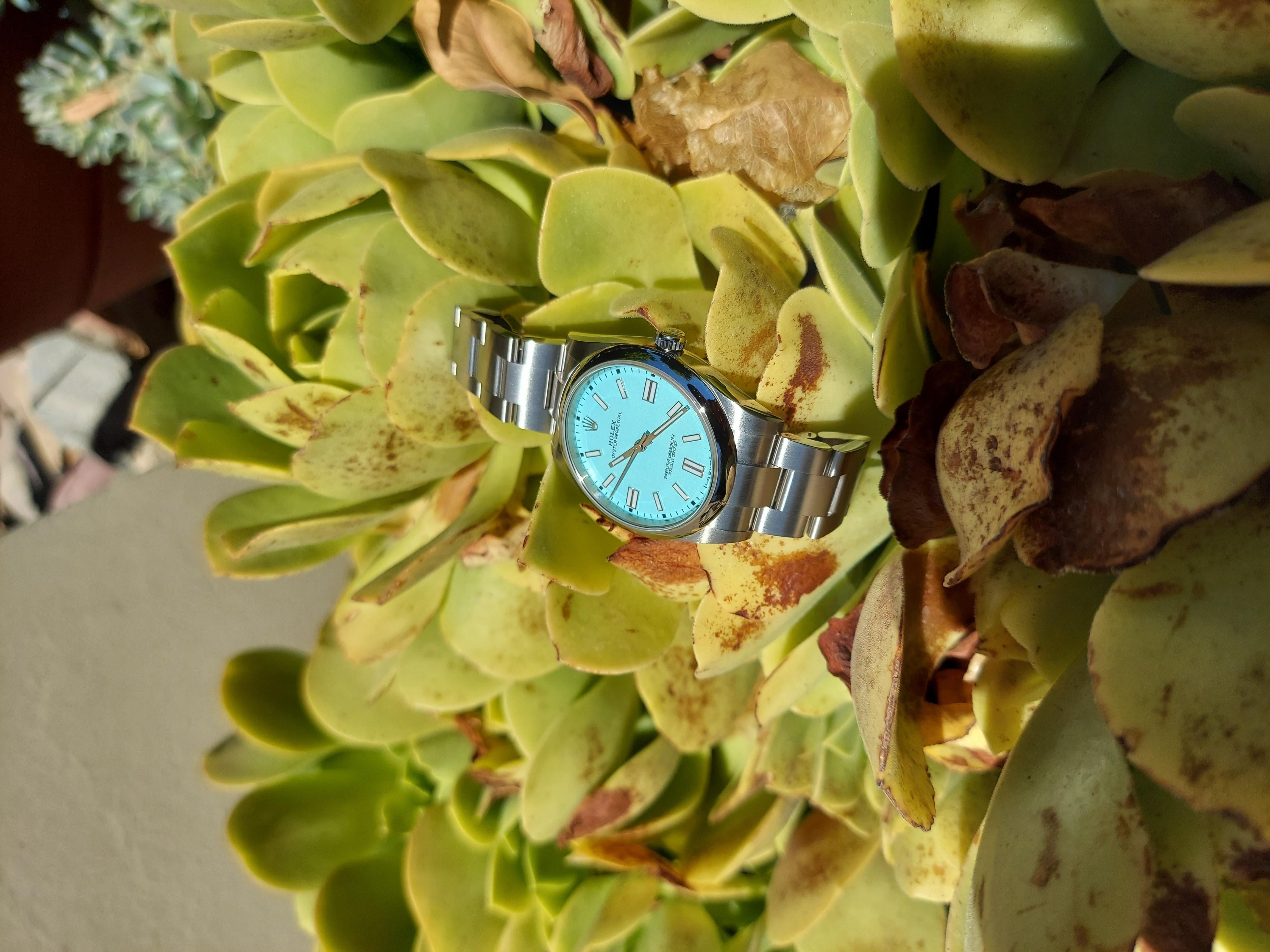 Modern Rolex Unisex Oyster Perpetual Steel 41mm Turquoise  For Sale
