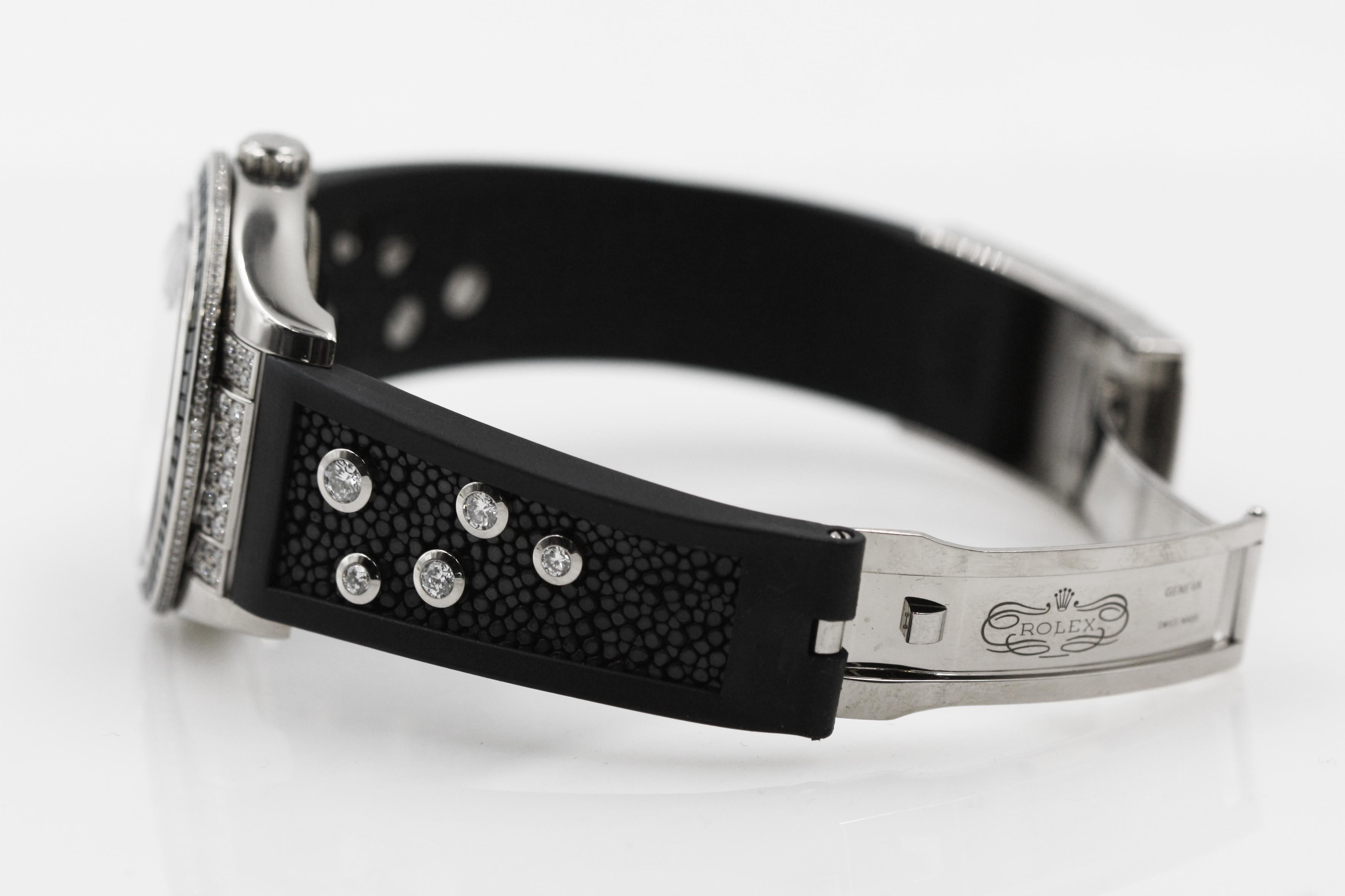 rolex black zebra