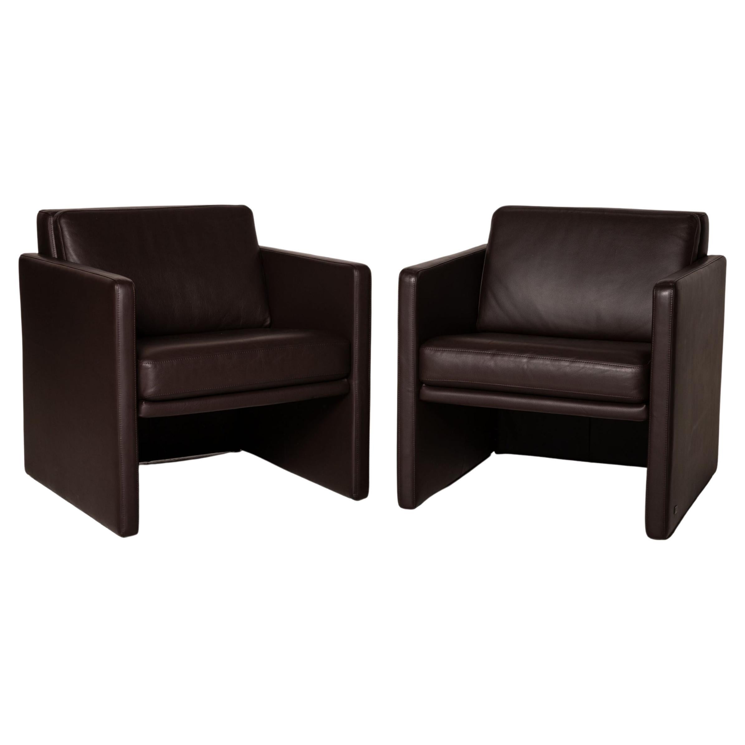 Rolf Benz Ego Leather Armchair Set Dark Brown 2x Armchairs For Sale