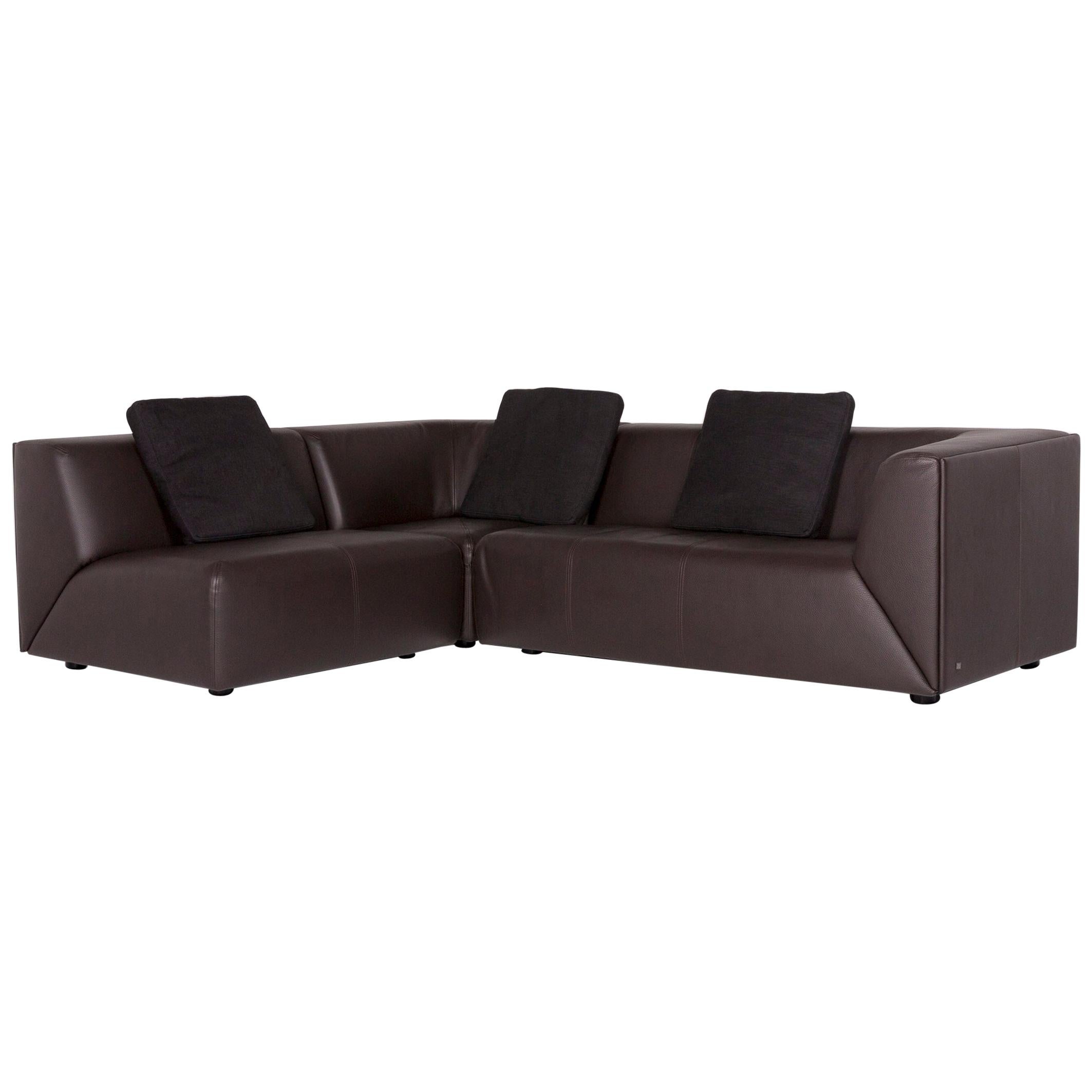 Rolf Benz Leather Corner Sofa Brown Dark Brown Sofa Couch For Sale