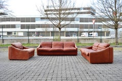 Rolf Benz Vintage-Wohnzimmer-Sofa-Ensemble aus oxidiertem Leder, Deutschland, 1970