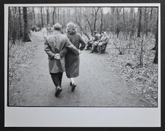 Früher Frühling in dem Wald der Stadt Köln, Deutschland 1954.