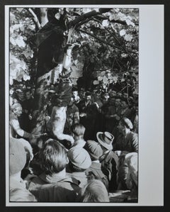 Revolucionarios húngaros ahorcan a un activista prosoviético, Hungría 1956.