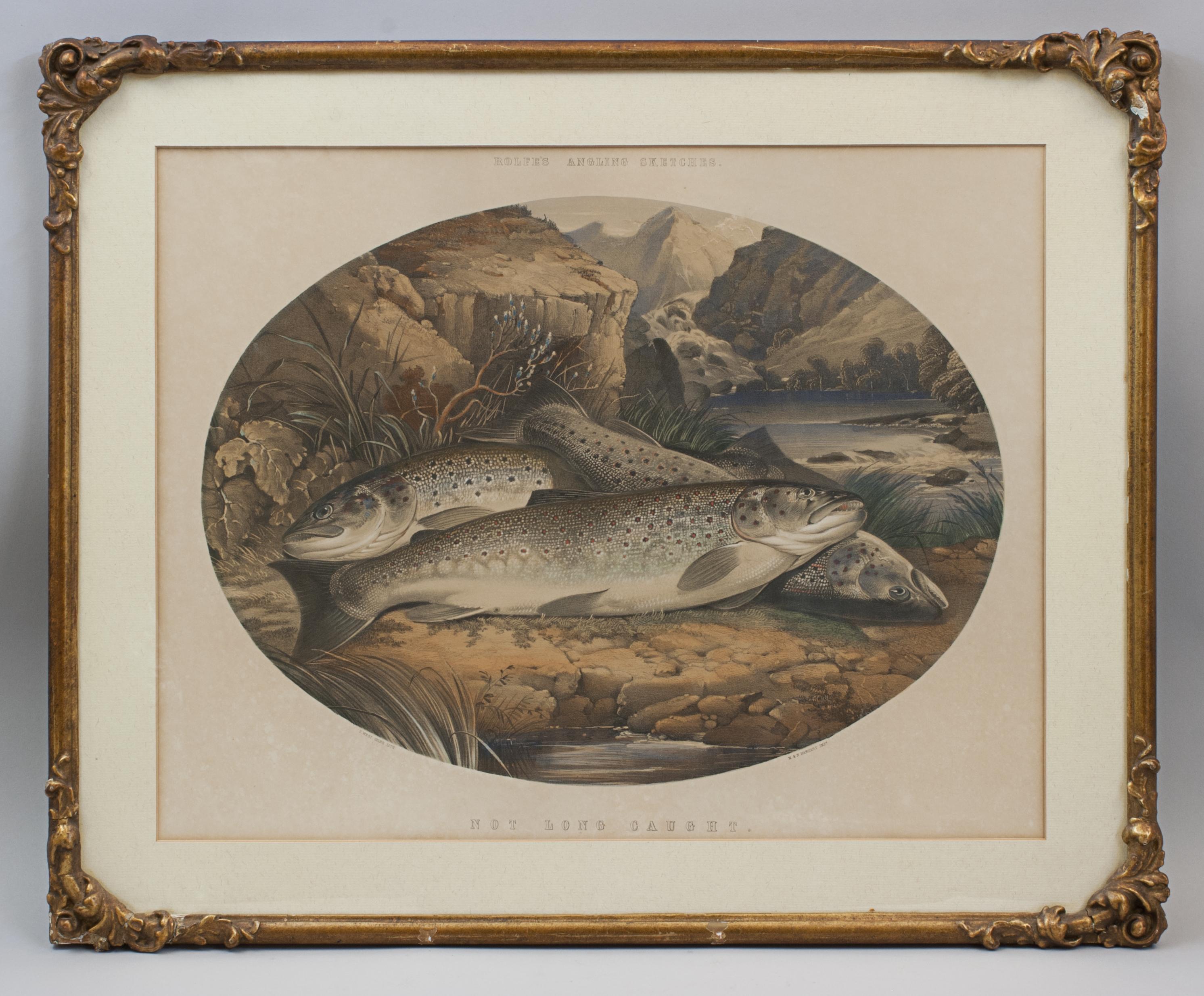 Rolfe's Angling Sketches.
An extremely rare colourful fishing lithograph after Henry Leonidas Rolfe (1823 - 1881) 'Rolfe's Angling Sketches, Not Long Caught'. Printed in colours by J. West Giles with hand finishing, printed by M & N Hanhart.