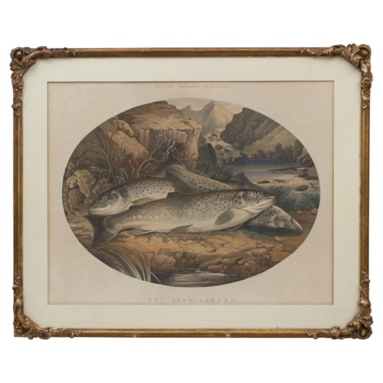 Rolfe's Angling Sketches, Fishing Picture, Not Long Caught. For Sale at  1stDibs
