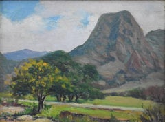 „El Capitan Mountain“ Guadalupe-Gebirge:: Texas