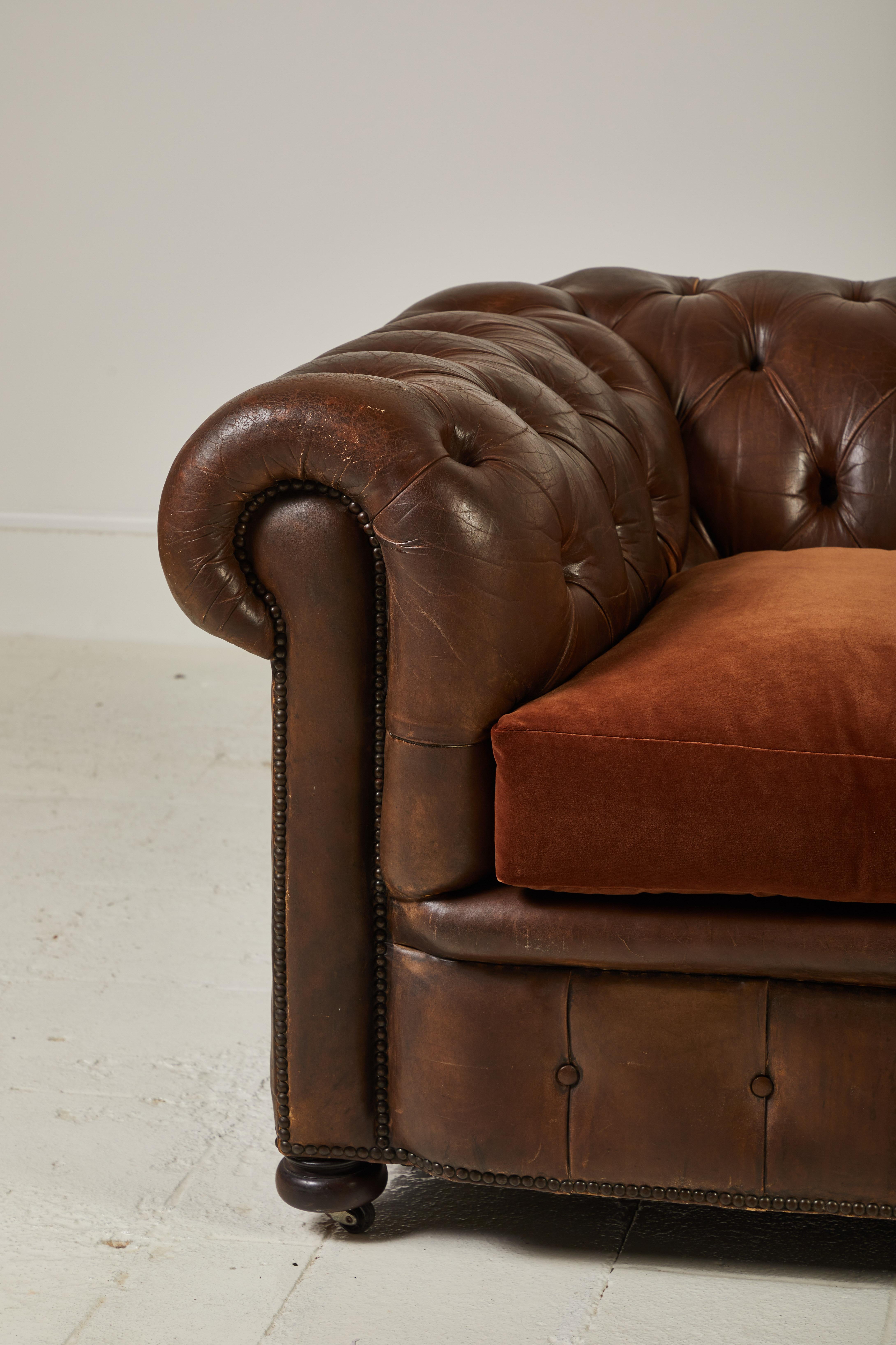 Beautifully aged brown leather chesterfield sofa with rolled arms finished with nail-heads, finished with newly constructed brown velvet cushions.