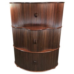 Vintage Tambour Door Cabinet by Robert and Trix Haussmann, 1977