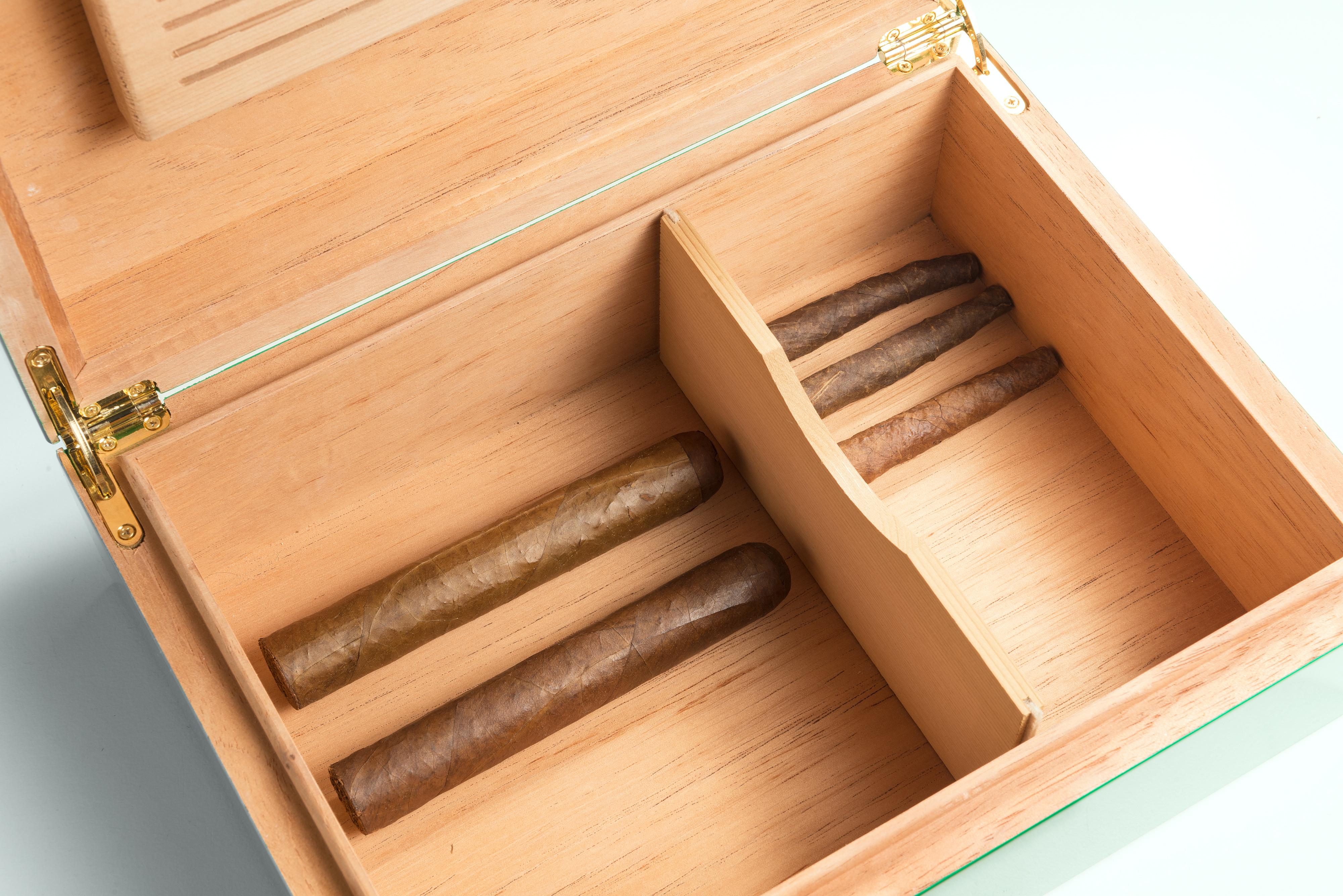Roma Cigar Box SC1 Pistachio In New Condition For Sale In Recanati, IT