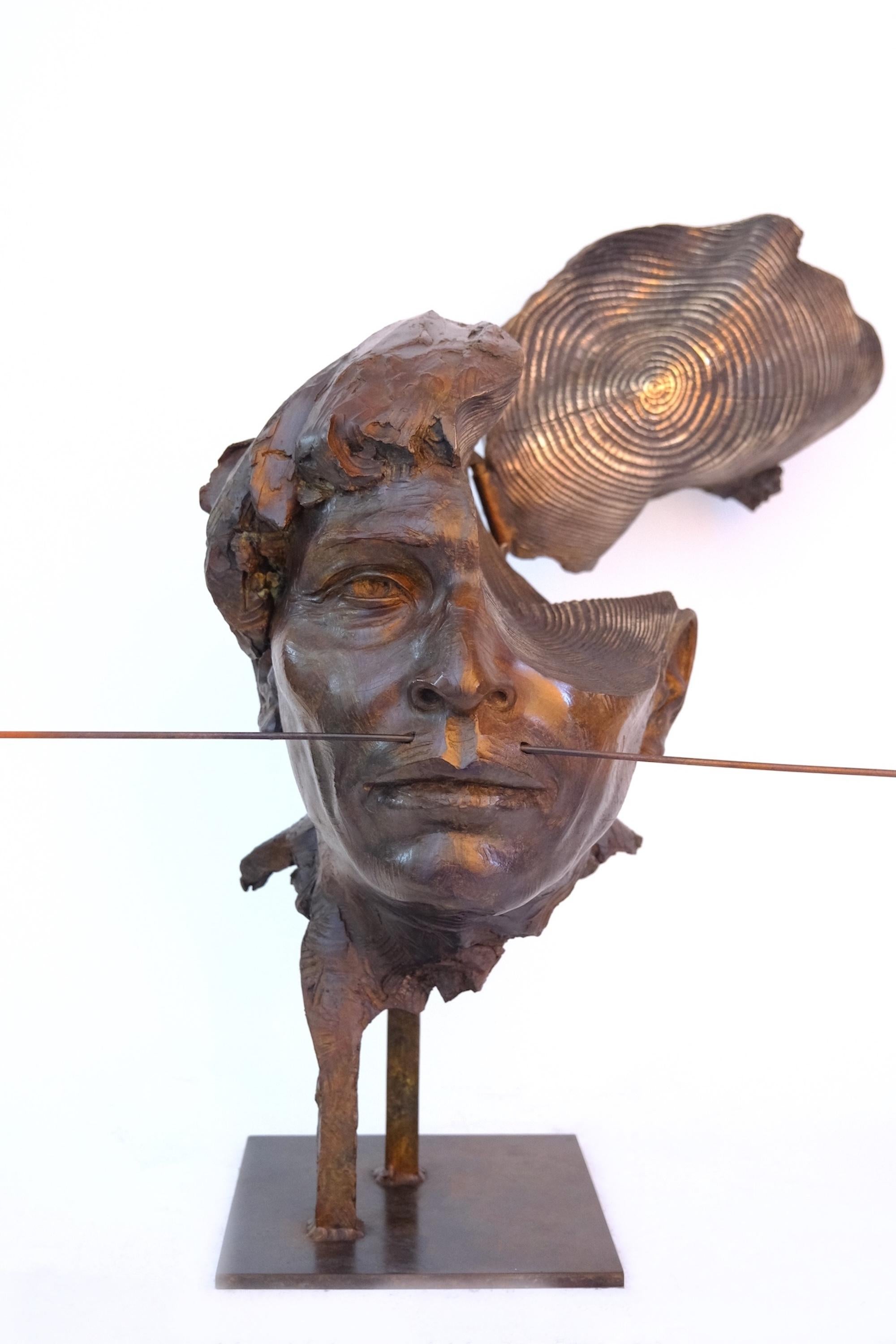 Amazonian is a bronze sculpture by contemporary artist Romain Langlois, dimensions are 51 × 33 × 33 cm (20 × 13 × 13 in).
The sculpture is signed and numbered, it is part of a limited edition of 8 editions + 4 artist’s proofs, and comes with a