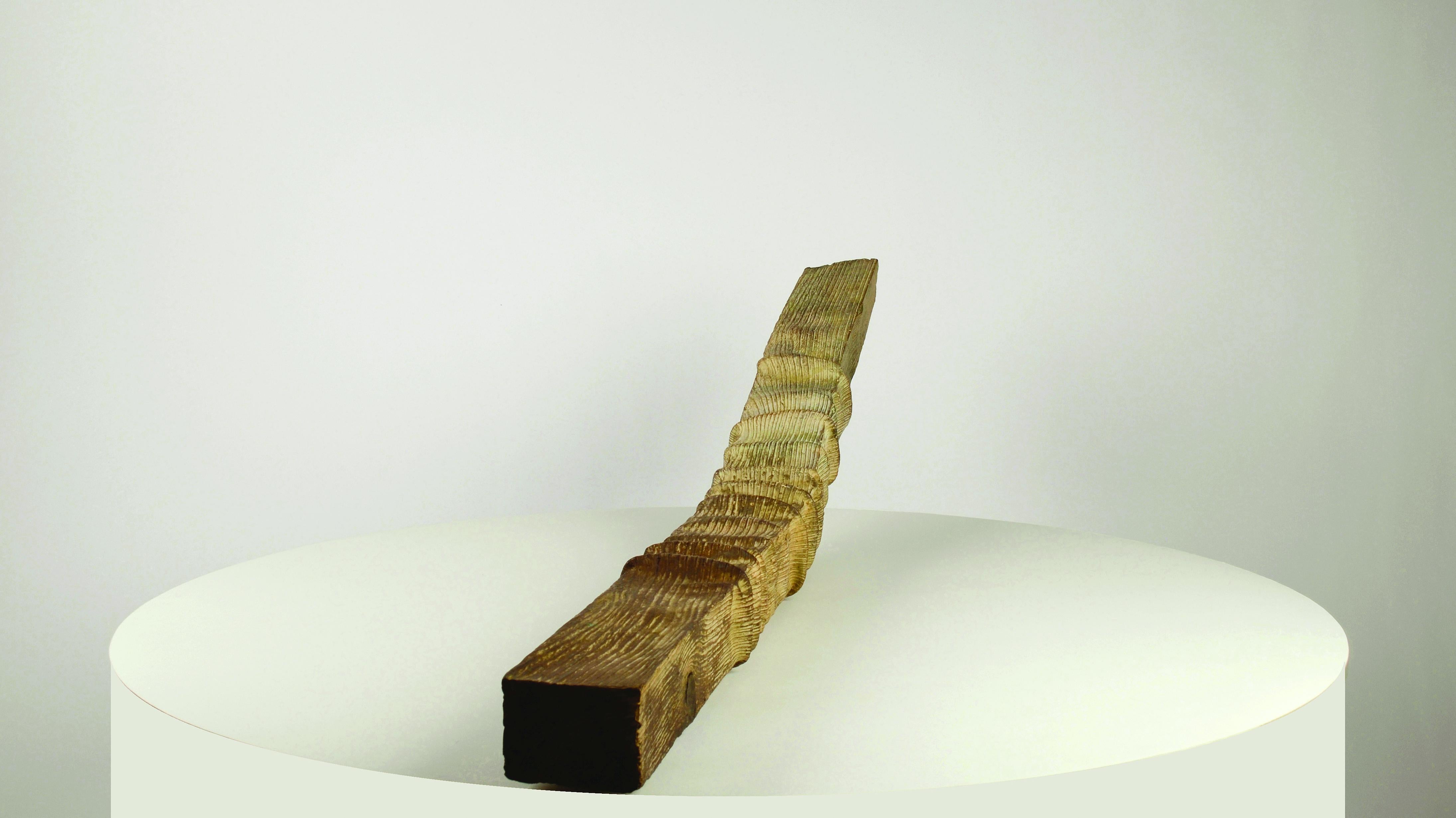 Chevron (Rafter) by Romain Langlois - wood-like bronze sculpture, Trompe-l'œil For Sale 6