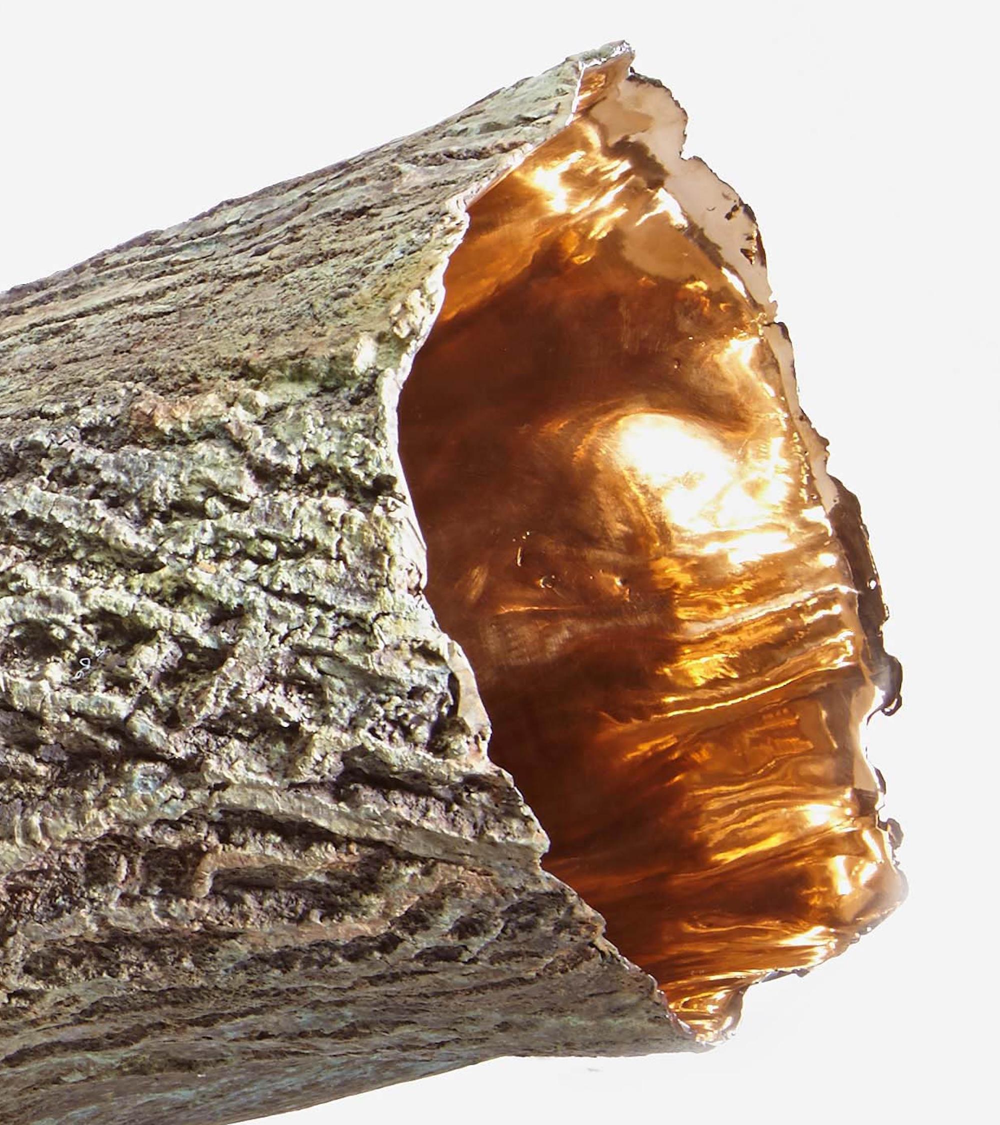 Contenitore di Romain Langlois - Scultura in Wood, interno in bronzo dorato in vendita 5