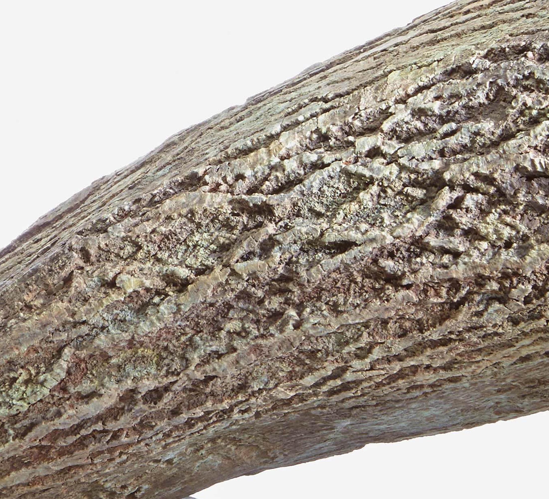 Contenitore di Romain Langlois - Scultura in Wood, interno in bronzo dorato in vendita 6