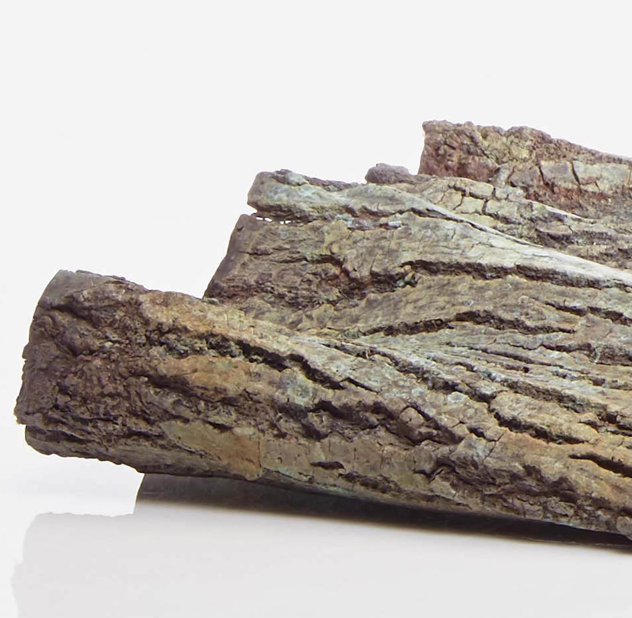 Contenitore di Romain Langlois - Scultura in Wood, interno in bronzo dorato in vendita 7