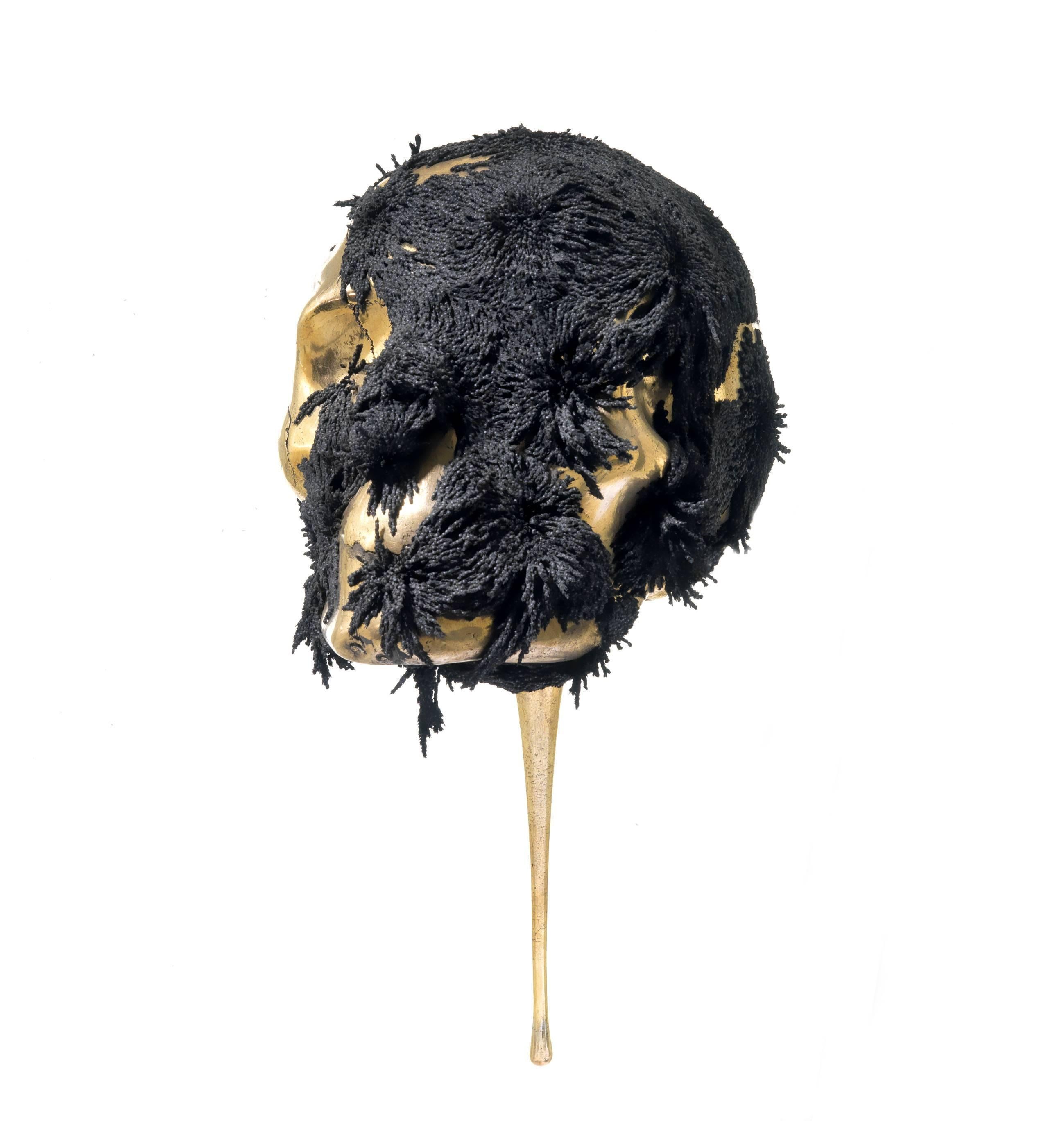 Jericho mask by Romain Langlois - Skull bronze sculpture, neodymium, golden For Sale 2