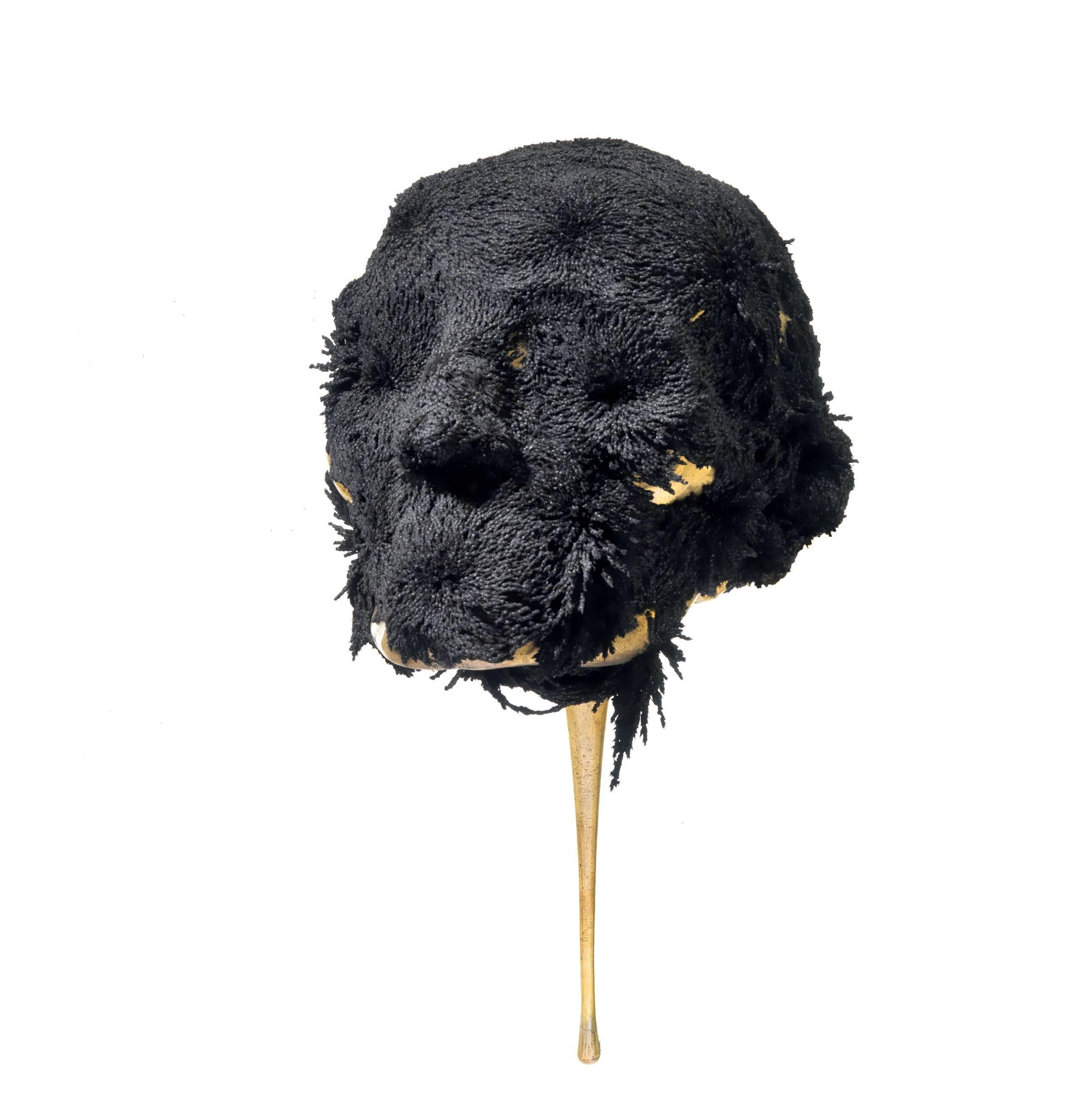 Jericho mask by Romain Langlois - Skull bronze sculpture, neodymium, golden For Sale 3
