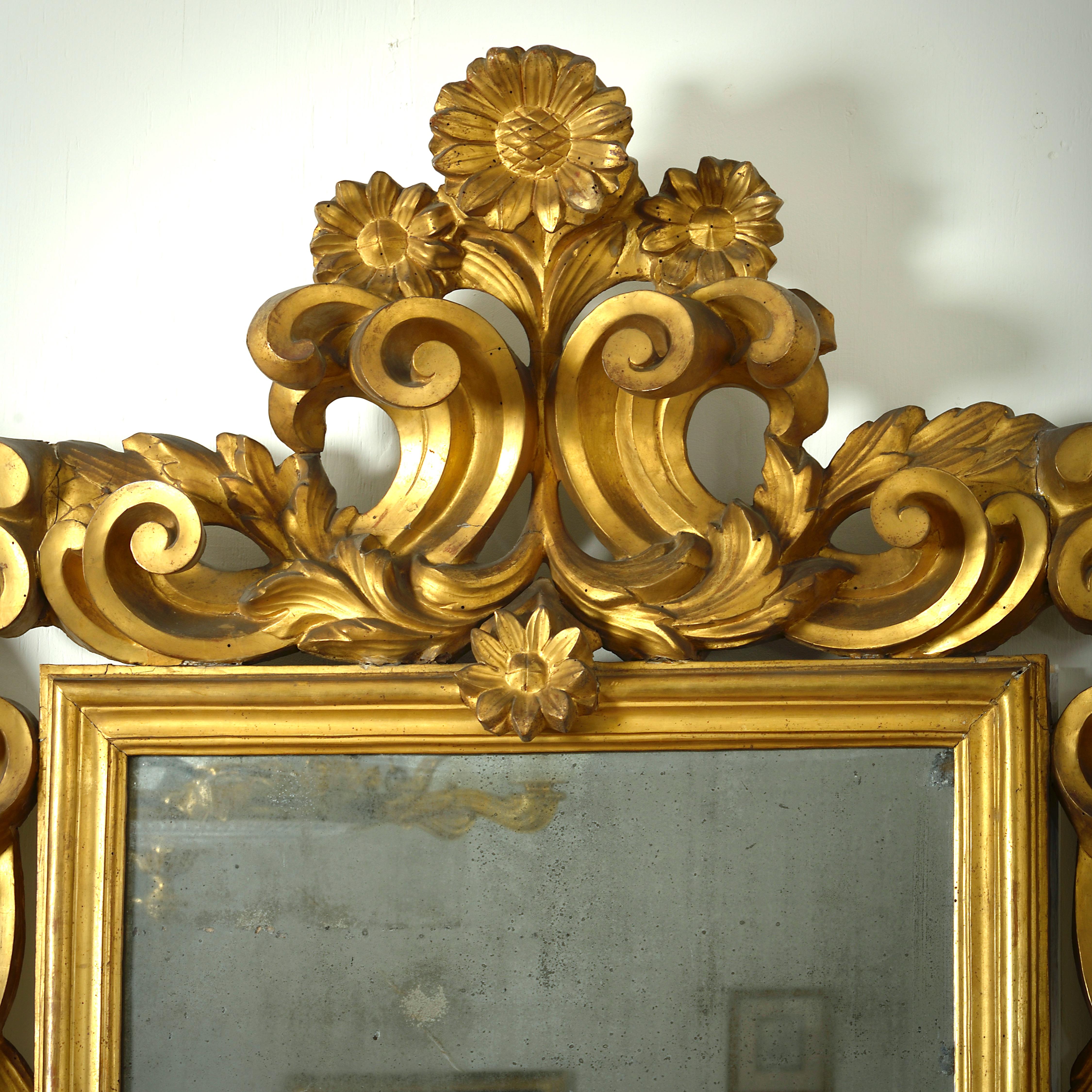 Magnifica specchiera barocca romana in legno dorato, intagliata con volute intrecciate, acanto e girasoli, 1680 circa.

Con doratura originale.