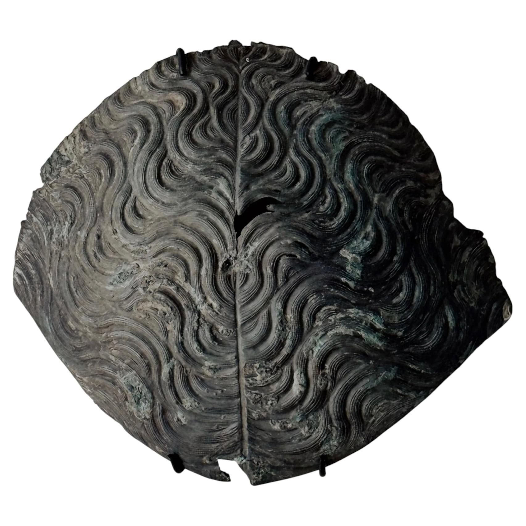 Roman Bronze Parade Helmet Fragment, circa A.D. 1st century For Sale