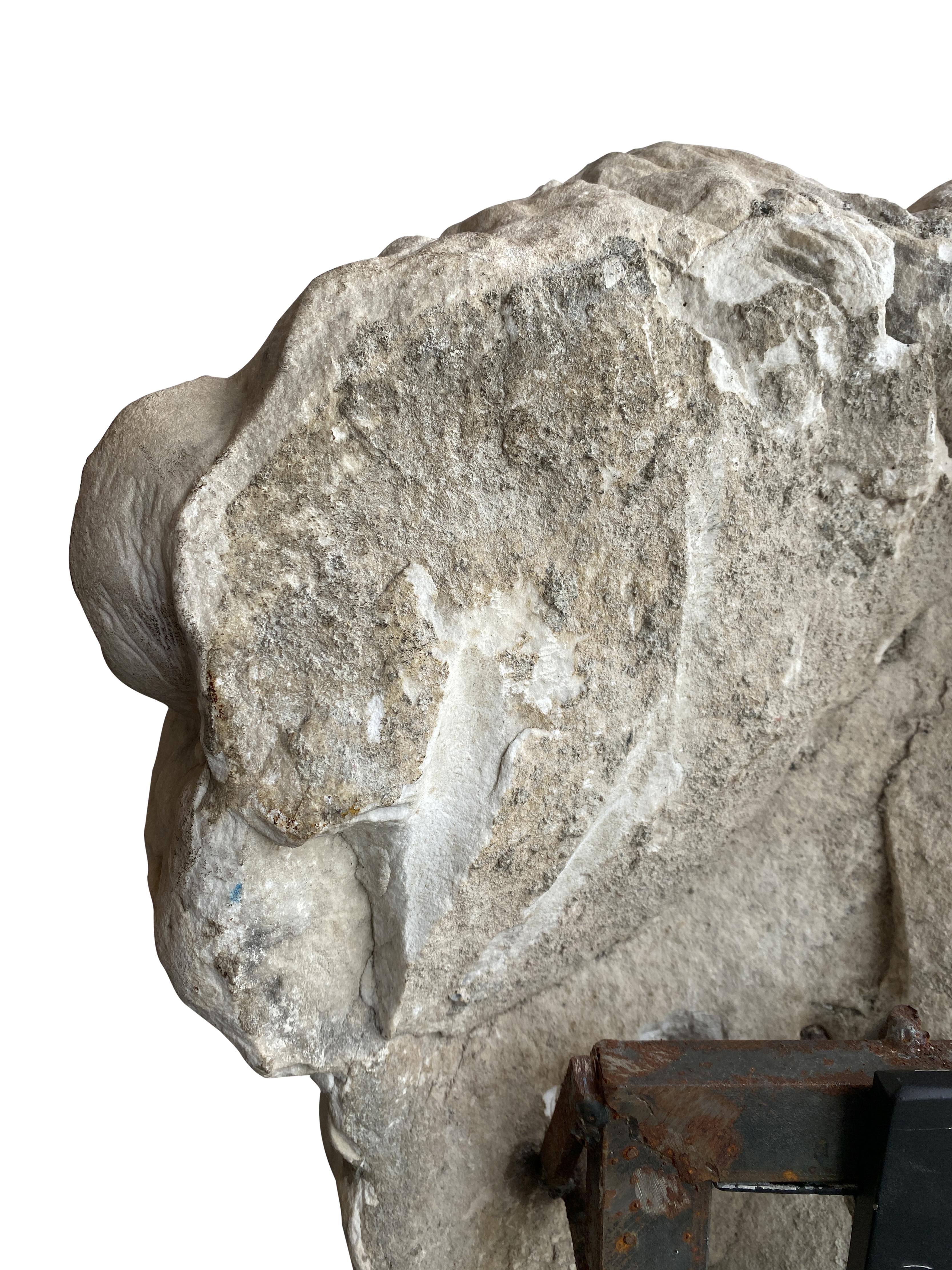 Löwe aus römischem Carrara-Marmor (Italienisch) im Angebot