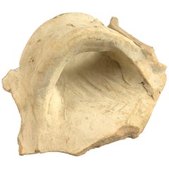 Fragmento de asa de jarra de barro romana