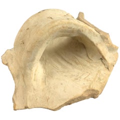 Roman Clay Jar Handle Fragment