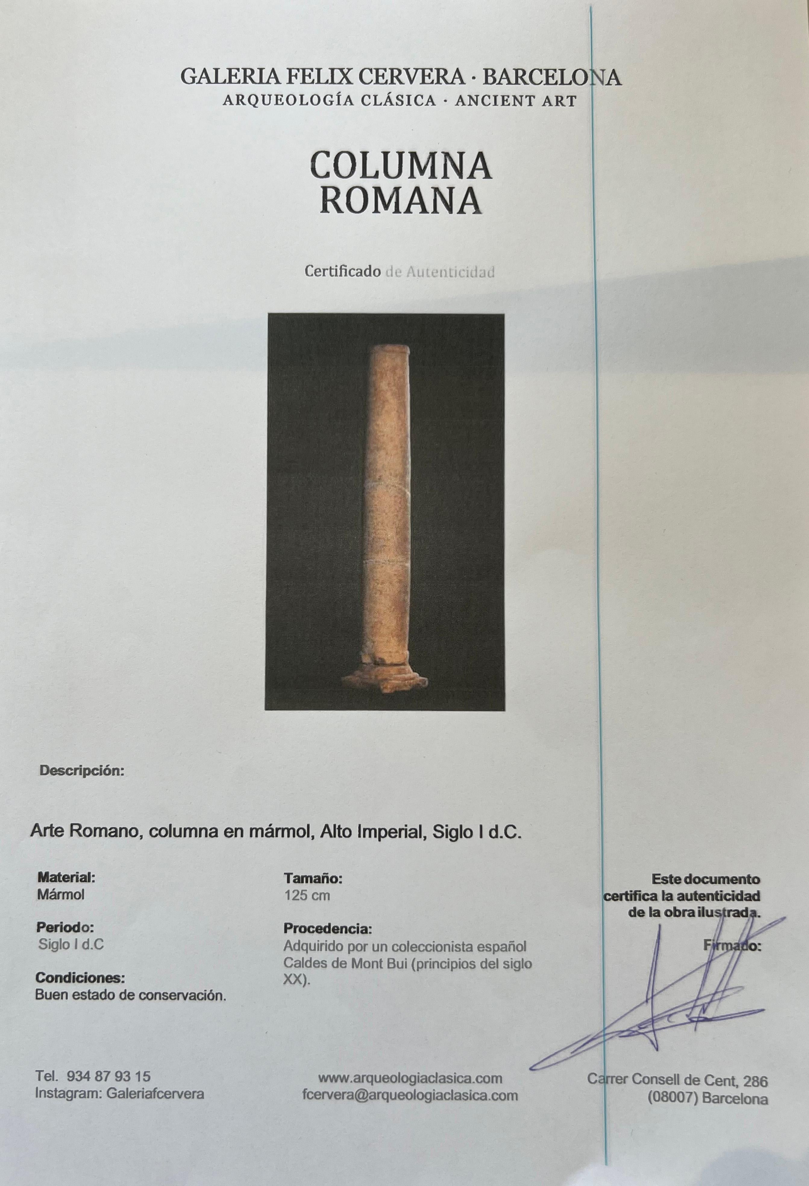 Roman Column, 1st Century A.D, Spain 4