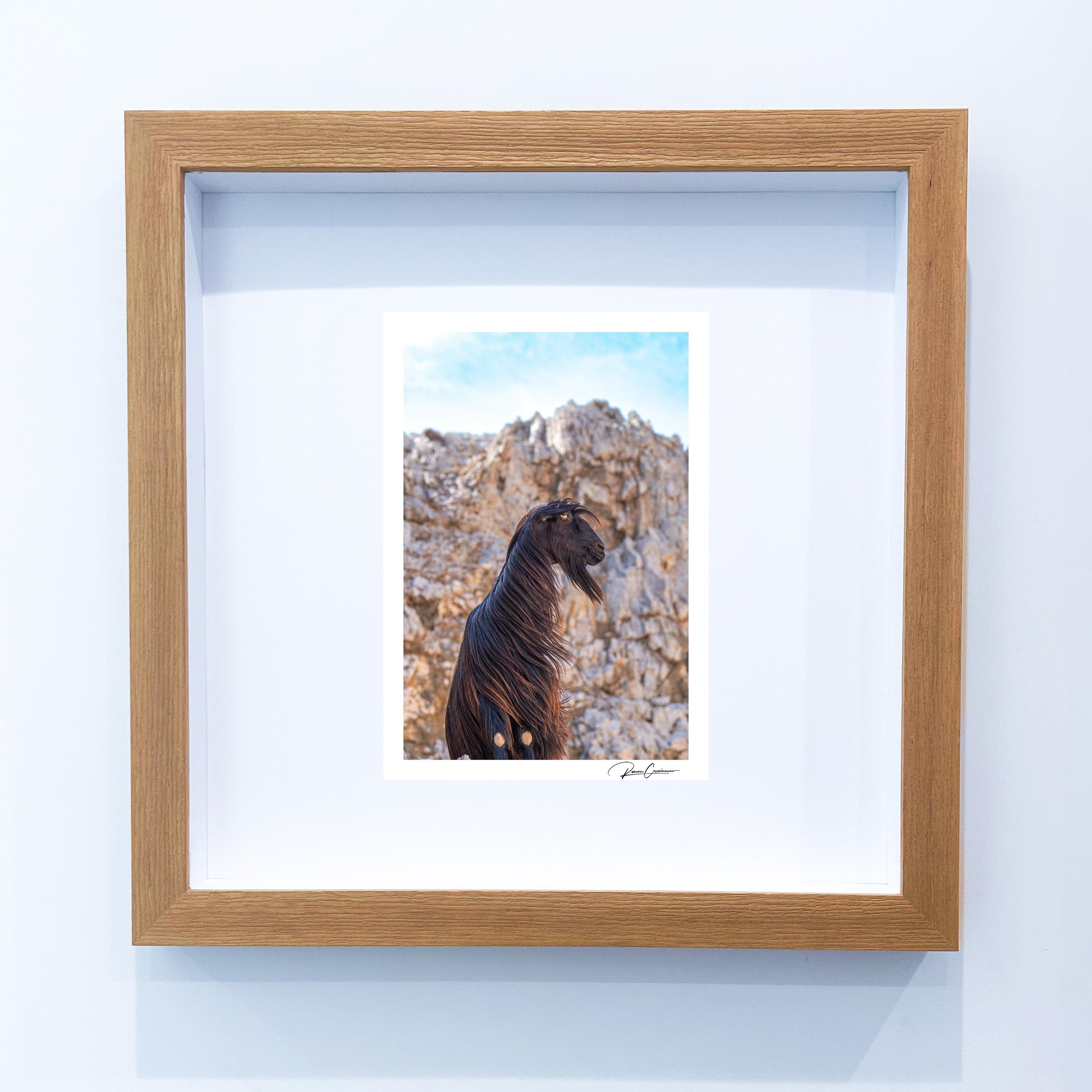 Photographie originale encadrée et signée Roman Crescimanno en vente 2