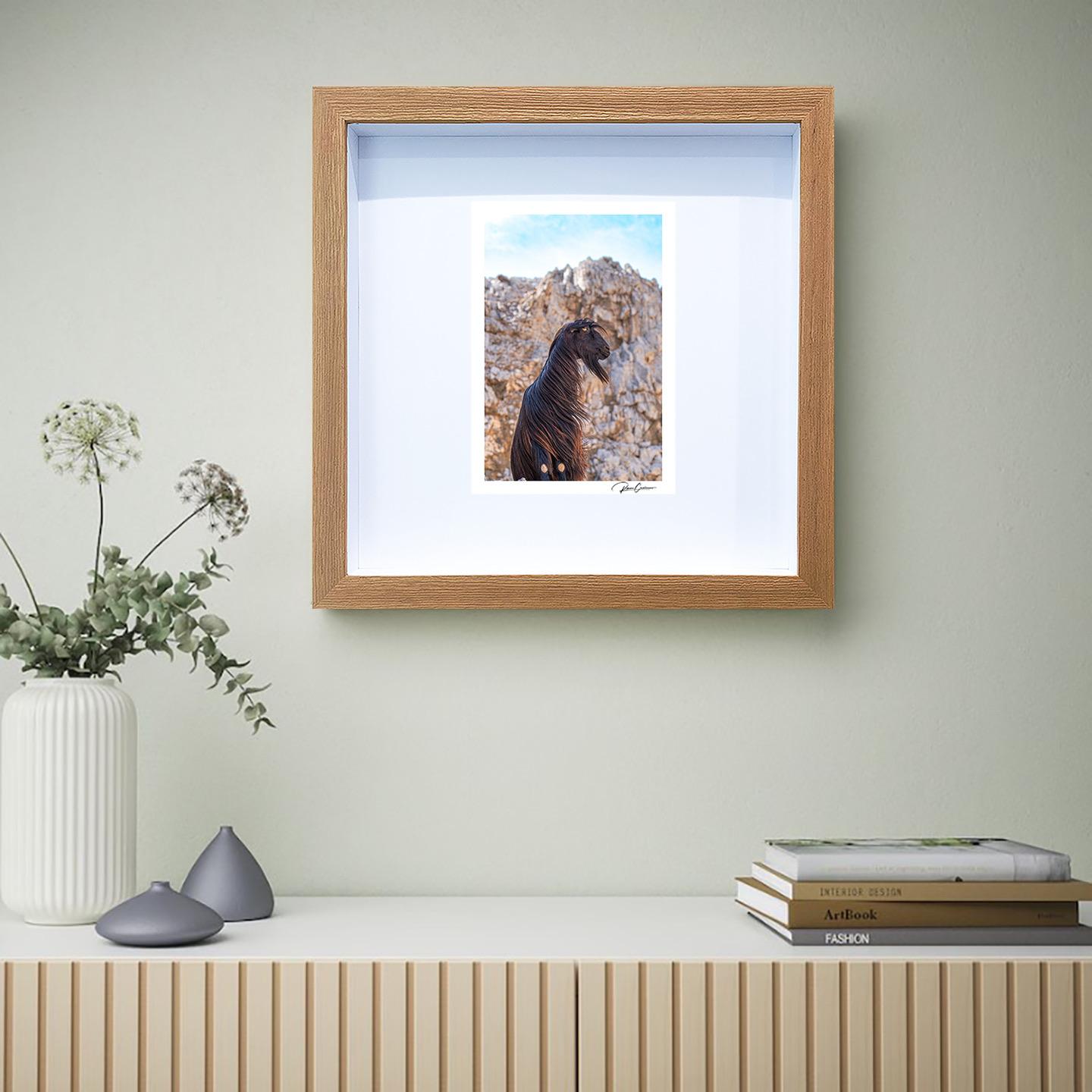 Photographie originale encadrée et signée Roman Crescimanno en vente 3
