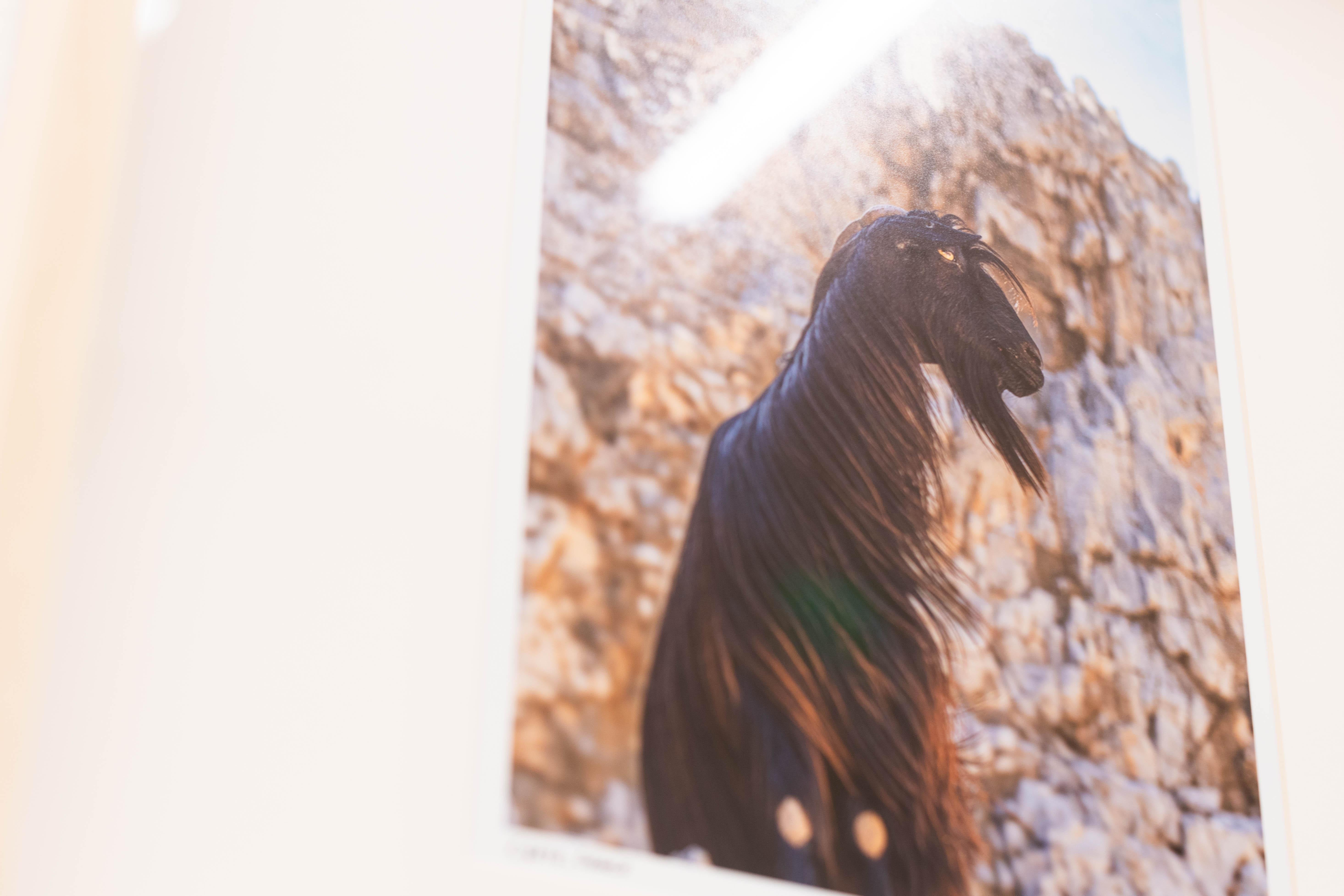 Photographie originale encadrée et signée Roman Crescimanno en vente 7