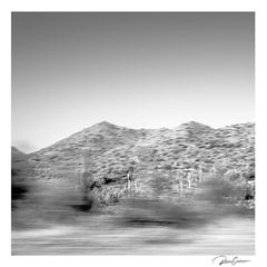 Originales gerahmtes und signiertes Foto „Saguaro Solitude“ von Roman Crescimanno