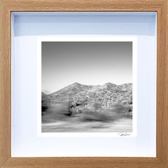 "Saguaro Solitude" fotografía original enmarcada y firmada por Roman Crescimanno