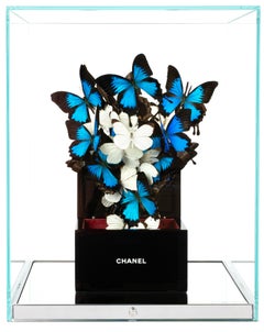 Chanel Sky