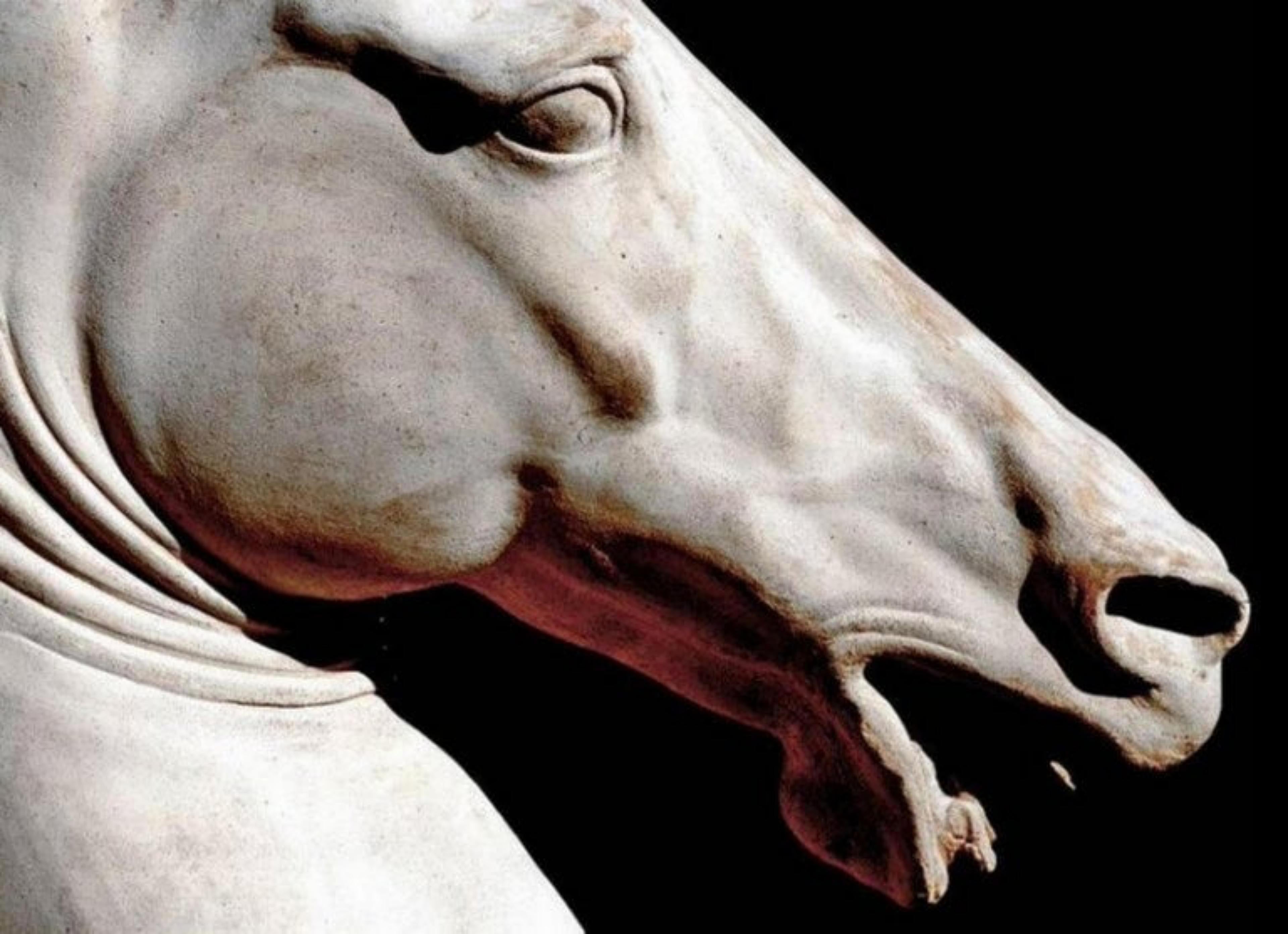 Italian Roman Horse in Terracotta, End 19th Century For Sale