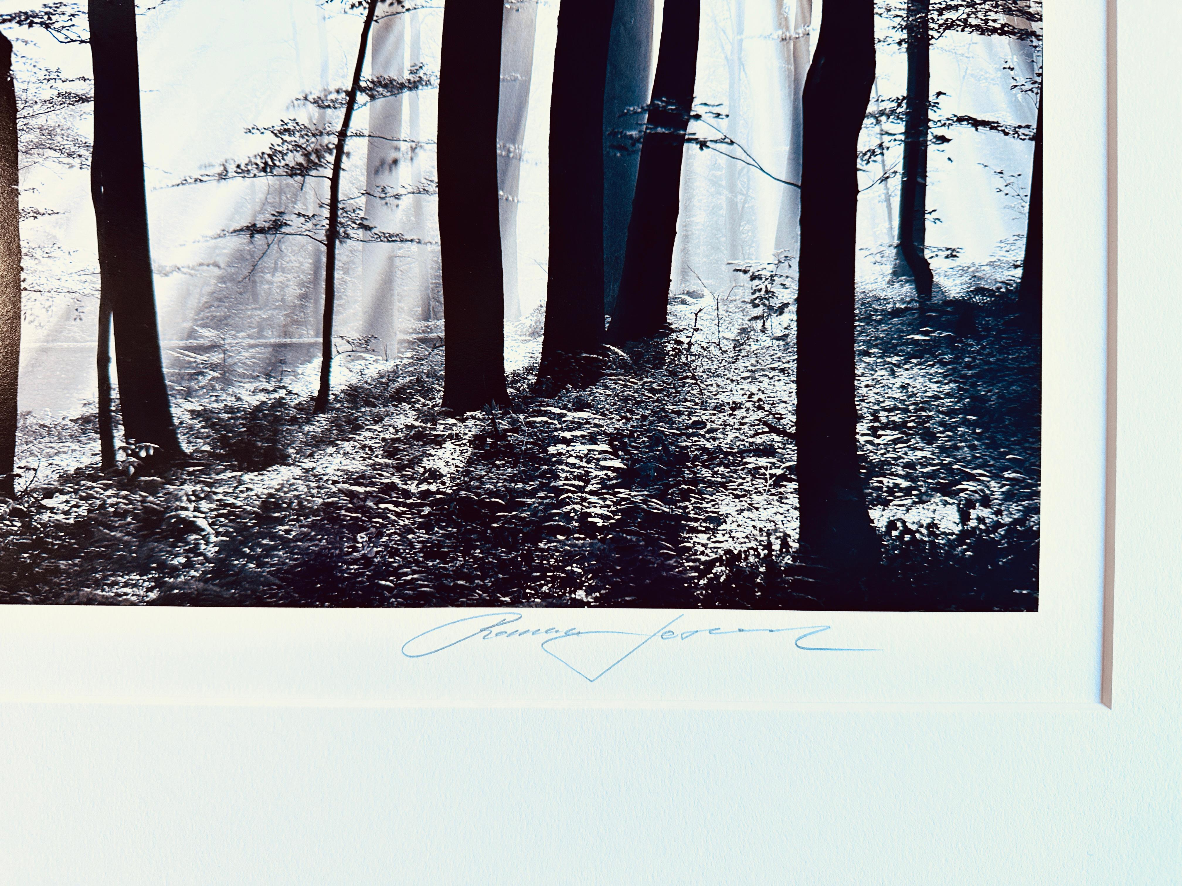 Vom Künstler handgedruckt.
Ausgabe 9/40
Gedruckt 2007
Ausgezeichneter Zustand