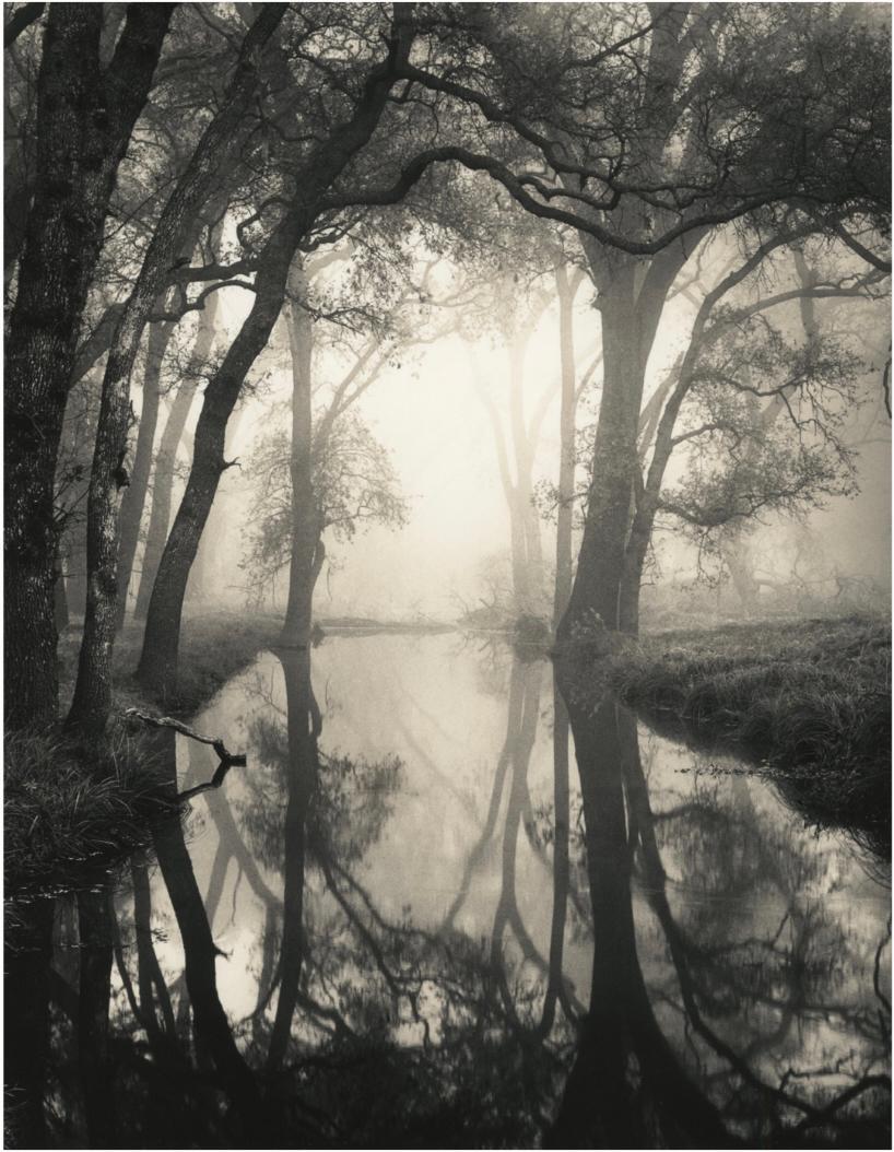 Roman Loranc Black and White Photograph – Backwater, Consunmes River, Kalifornien