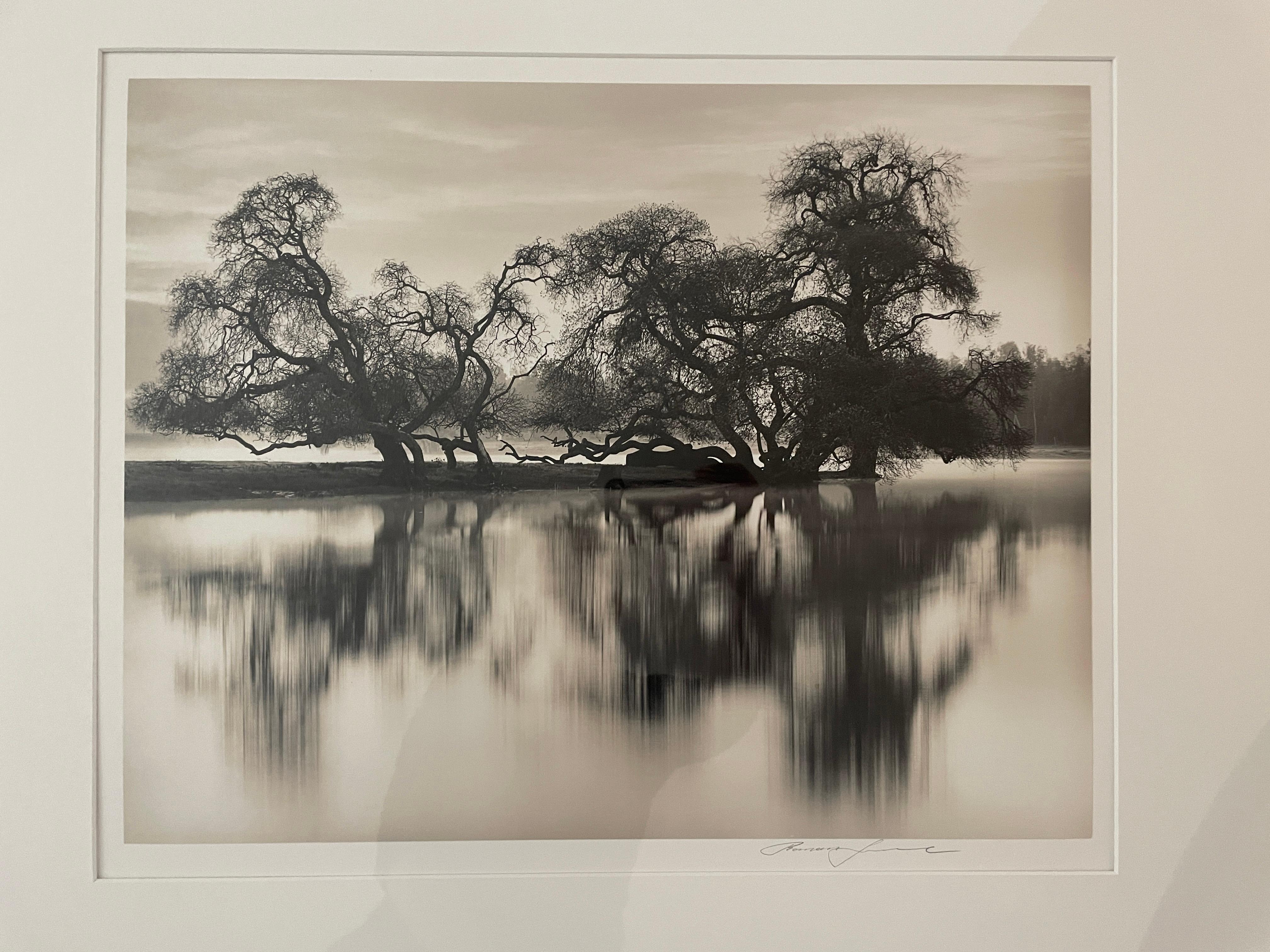 Kahle Bäume am Fluss – Photograph von Roman Loranc
